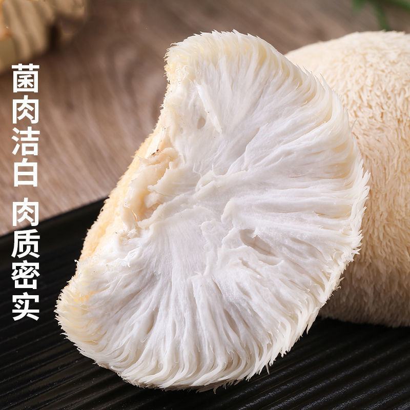 顺风快递新鲜猴头菇非干货古田特产级猴头食用菌当季新鲜