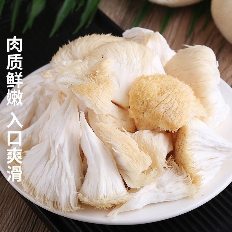 顺风快递新鲜猴头菇非干货古田特产级猴头食用菌当季新鲜
