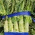 大量有货莴笋青皮青肉无空心香莴苣万亩大棚种植产区
