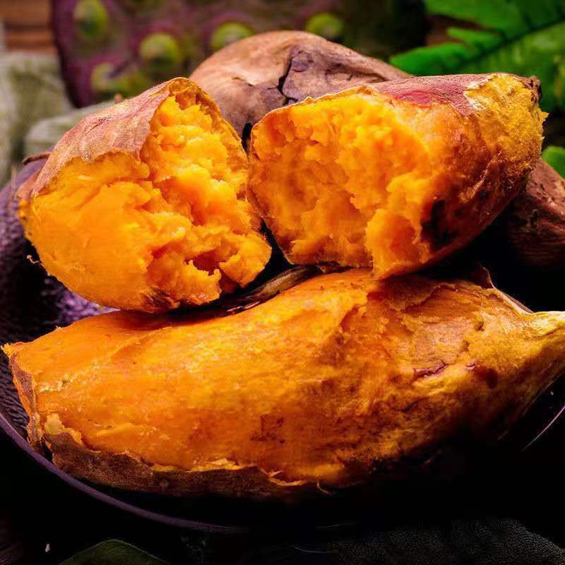 【甜糯细腻】广西沙地红薯新鲜蔬菜批发板栗番薯地瓜蜜薯2/