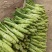 优质板叶棒菜品质好.，棒菜口感纯正是正宗的土品种.植物。