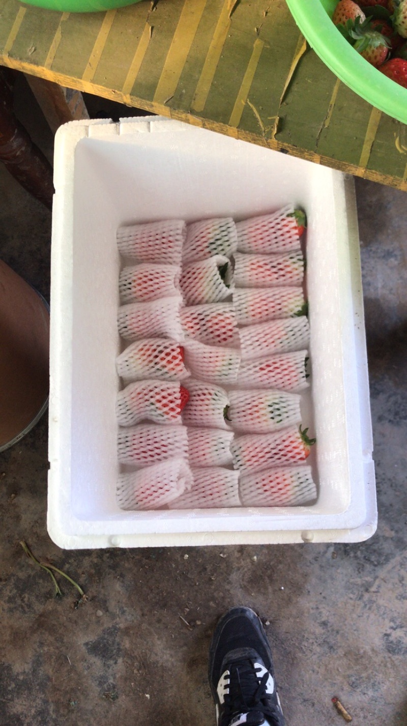 巧克力草莓