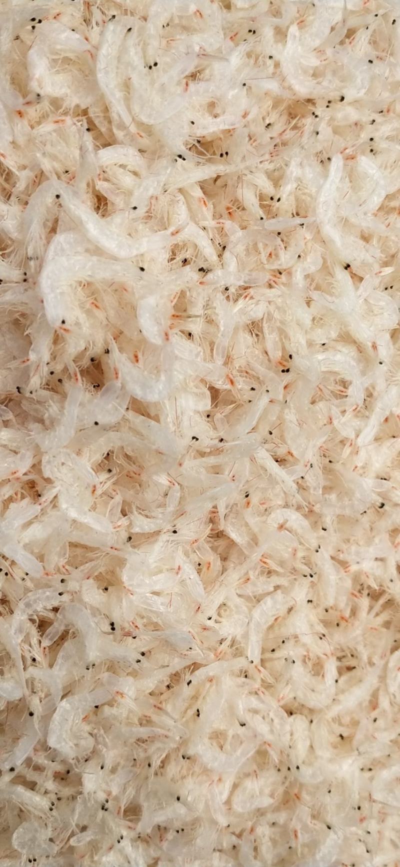 【热卖】辽宁虾皮厂家直发量大优惠可视频看货欢迎来电订购