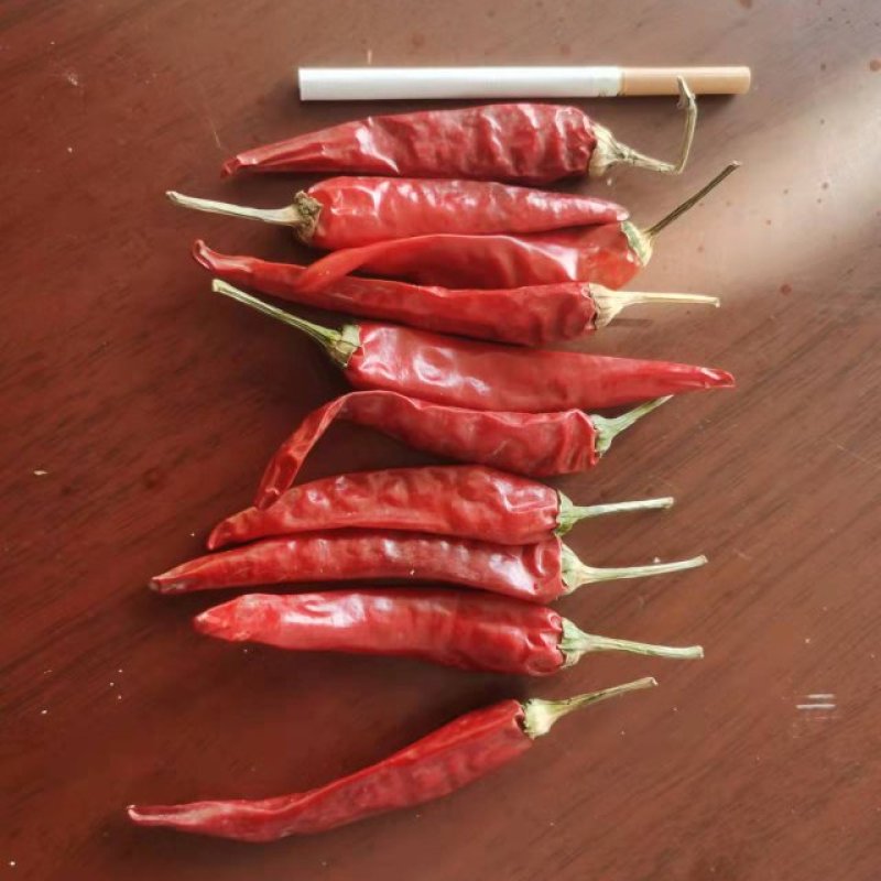 精品朝天椒