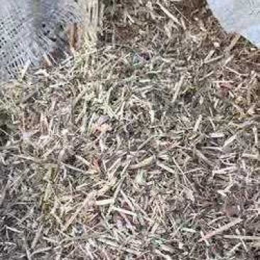 干红薯饲料草