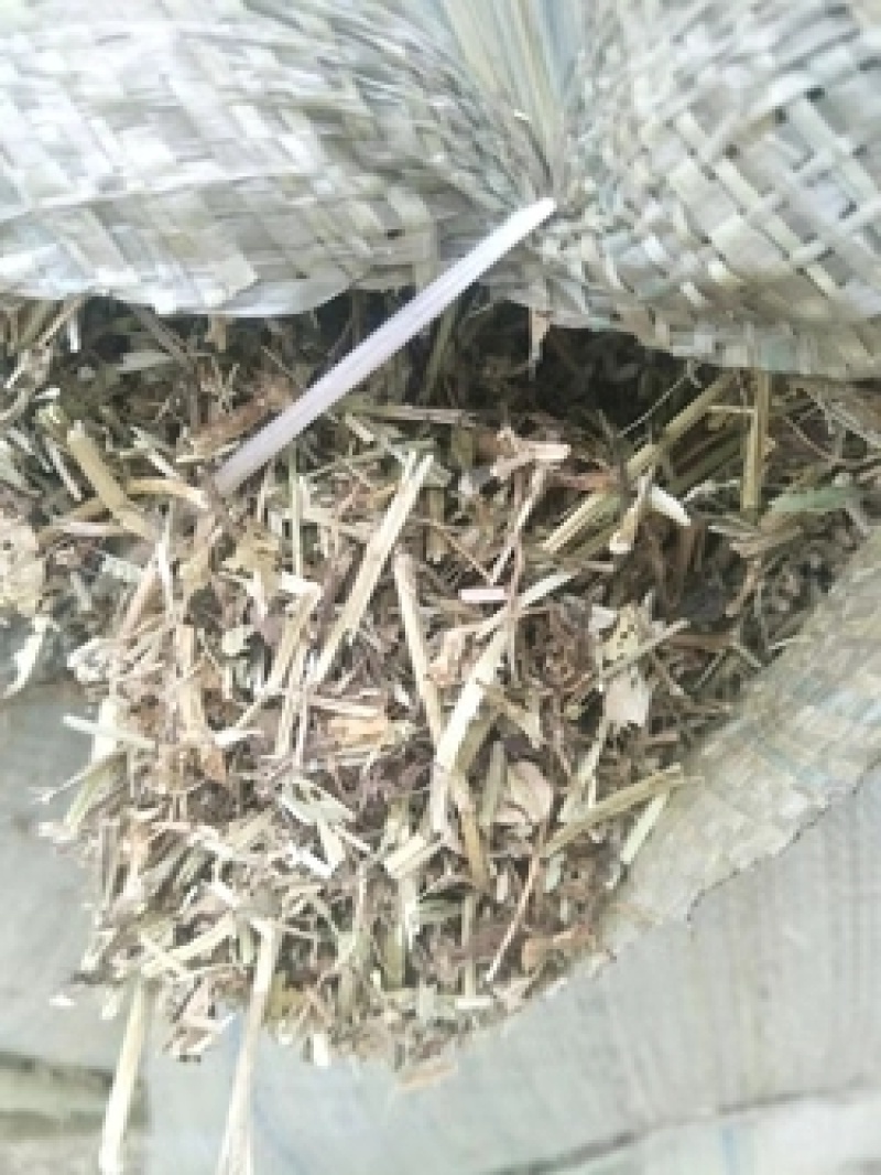 干红薯饲料草