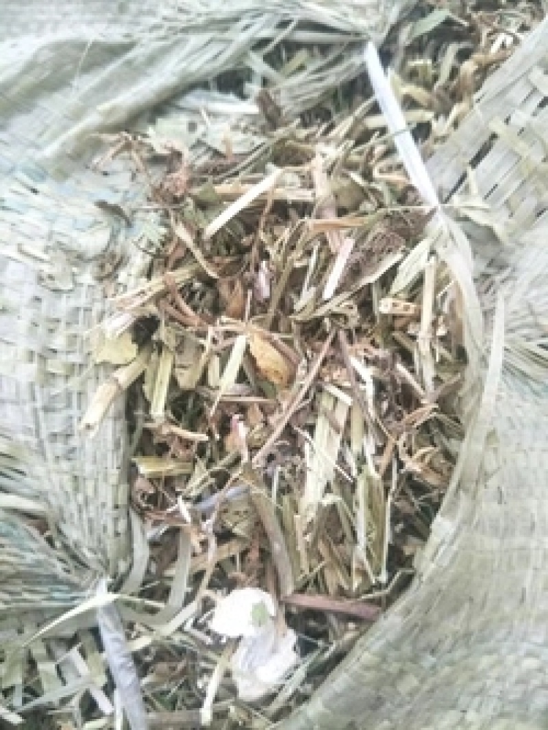 干红薯饲料草