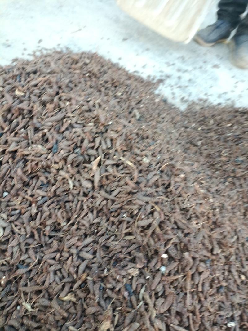 香附子无硫野生香味十足！批发零售一手货源产真发