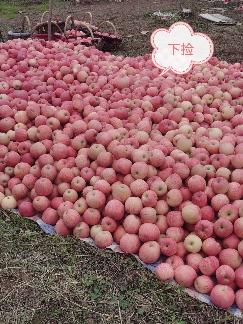 【精品】下捡、品质保证量大从优产地直发可视频看货