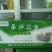 熟花生果