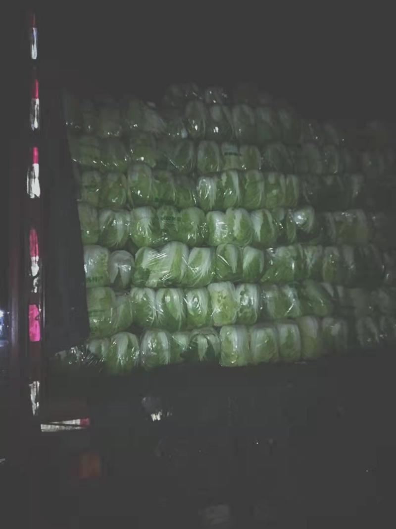 大白菜黄心白菜，供应市场，超市，电商平台，基地直发