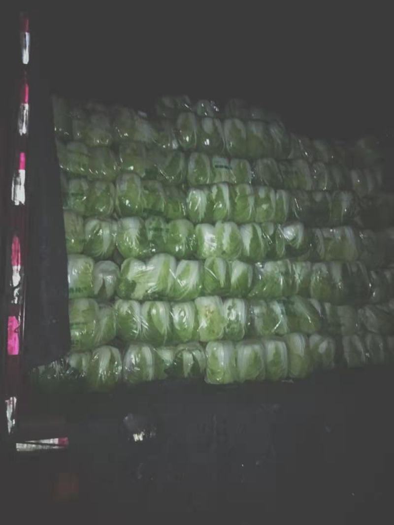 大白菜黄心白菜，供应市场，超市，电商平台，基地直发