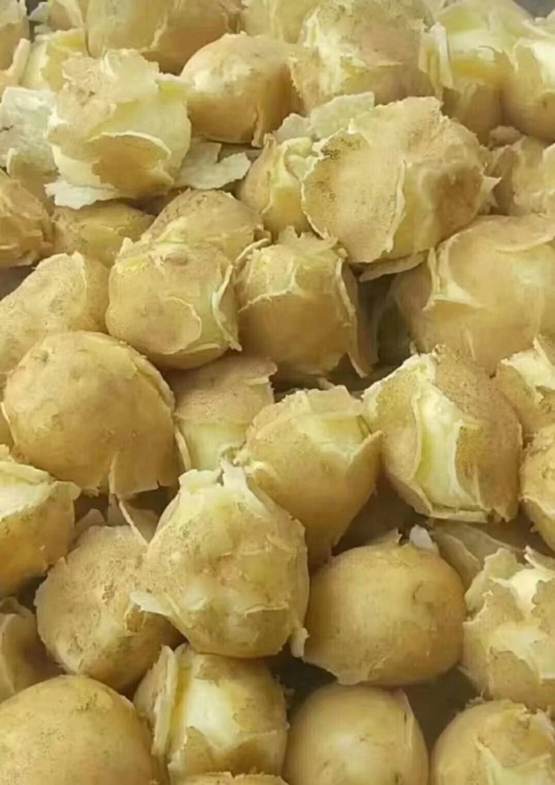 大量出售贵州毕节威宁黄心土豆，威宇5号，三号，威宁七号。