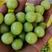 大量出售余甘果，橄榄果，产地直发确保一手货源支持一件代发