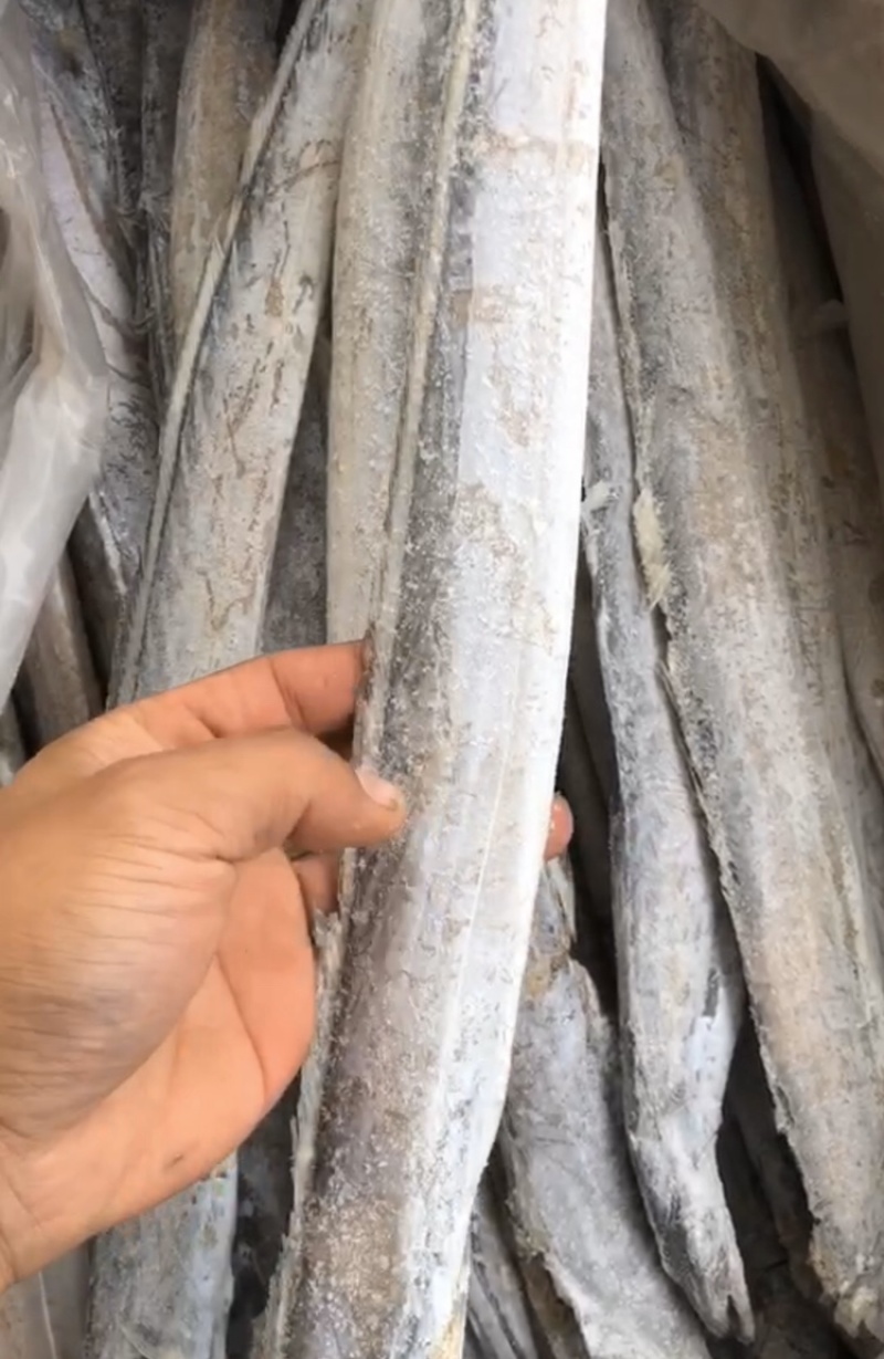黄海本地小眼带鱼，一斤五六条。宽度3厘米-3厘米半。