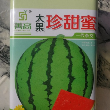 大果珍甜蜜西瓜，一代杂交，大果型果皮绿大红瓤肉质紧密甜脆