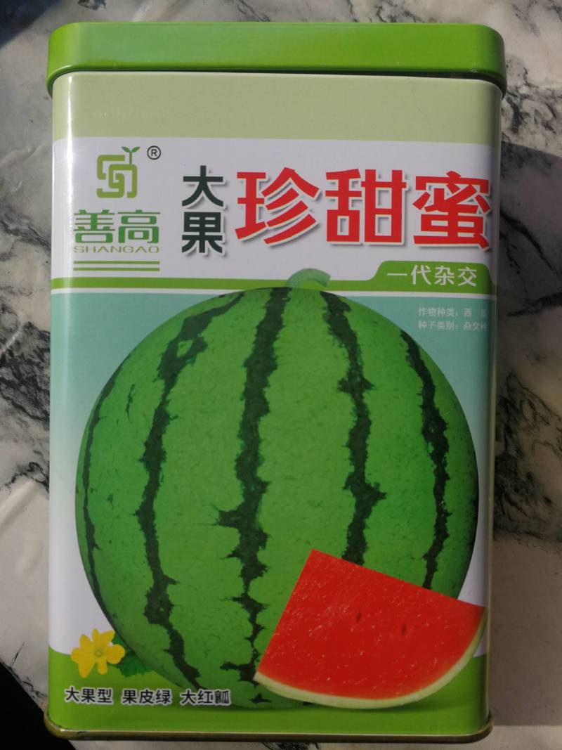 大果珍甜蜜西瓜，一代杂交，大果型果皮绿大红瓤肉质紧密甜脆