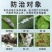45%松脂酸钠酯酸纳石硫松碱合剂果园清园专用药杀蚧介壳虫