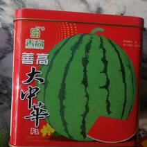 大中华西瓜种，一代杂交中早熟品种圆形果深绿色，大果型。