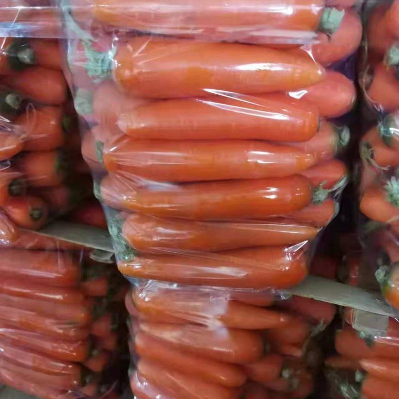 精品红萝卜对接电商超市市场批发保质保量包售后