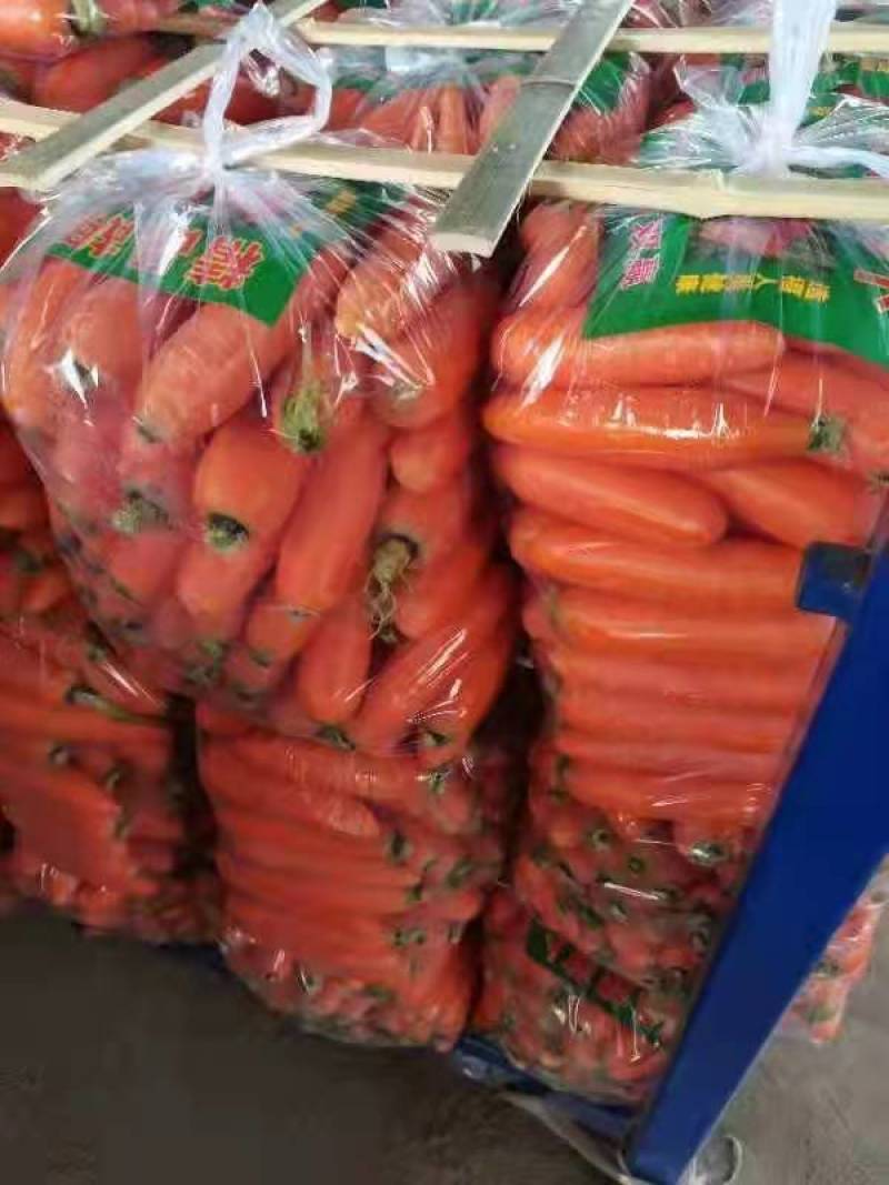 精品红萝卜对接电商超市市场批发保质保量包售后