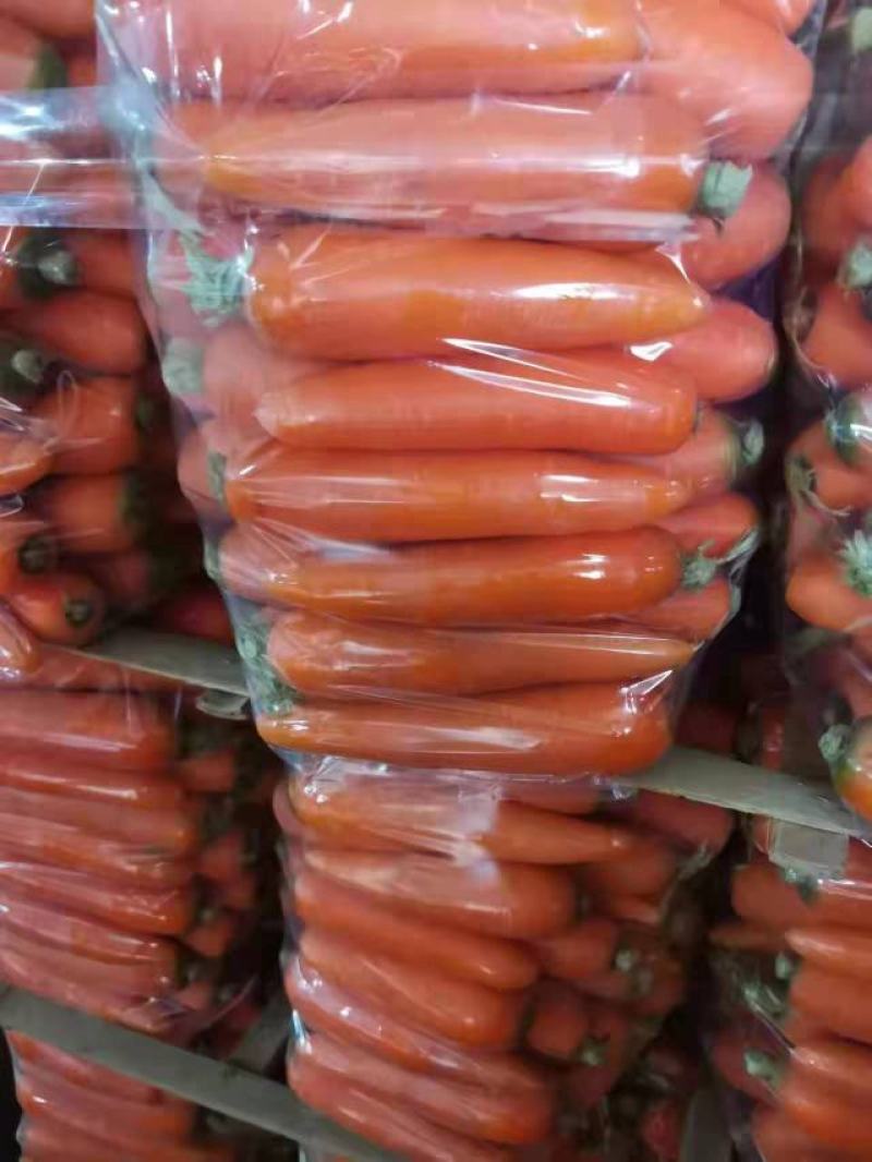 精品红萝卜对接电商超市市场批发保质保量包售后