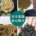 油太祖油葵种子，200克