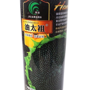油太祖油葵种子，200克