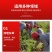 不锈钢镰刀割草刀木柄锯齿镰刀加密细齿小禾镰韭菜刀割禾除草