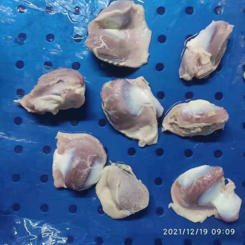 二级鸭胗特价销售现货秒发质优价廉