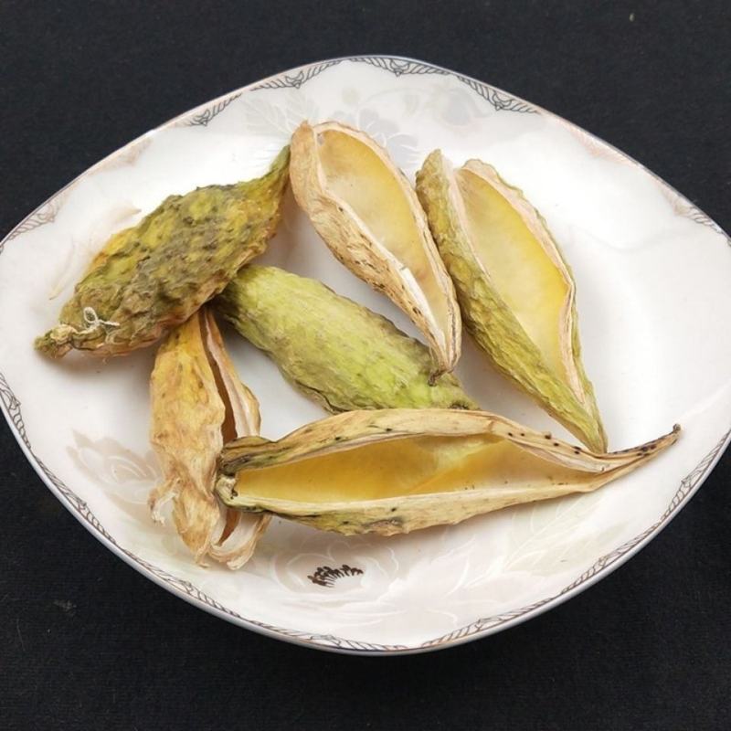 天降壳天浆壳罗摩壳天将壳野生中药材新货无硫天降壳萝摩荚哈