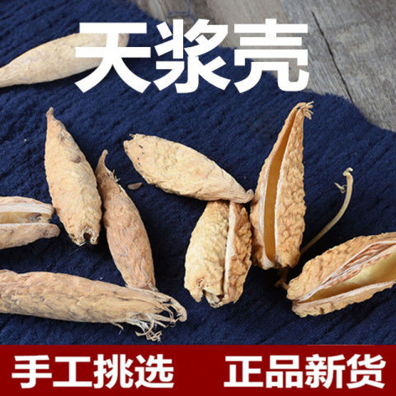 天降壳天浆壳罗摩壳天将壳野生中药材新货无硫天降壳萝摩荚哈