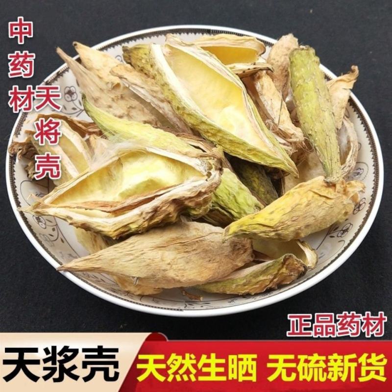 天降壳天浆壳罗摩壳天将壳野生中药材新货无硫天降壳萝摩荚哈