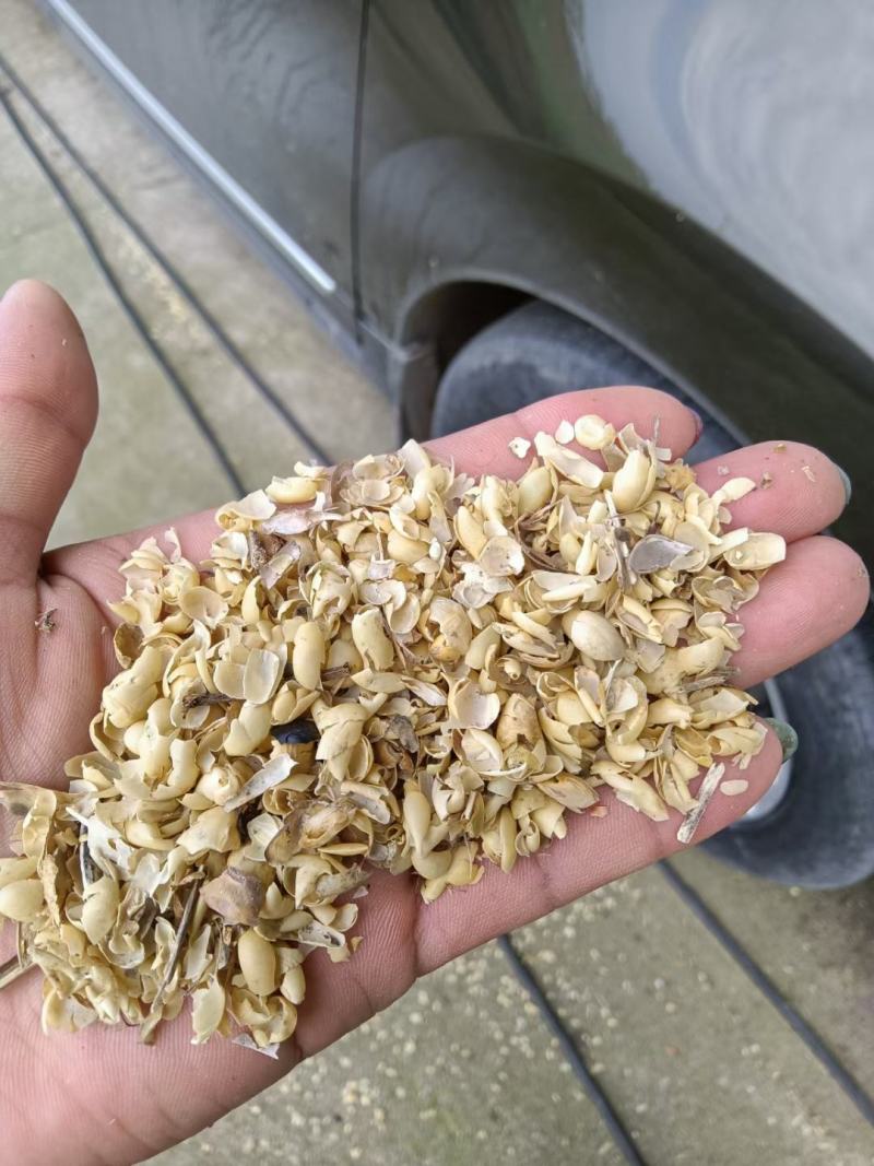 大豆黄壳，混有豆荚皮，黑龙江齐齐哈尔上车