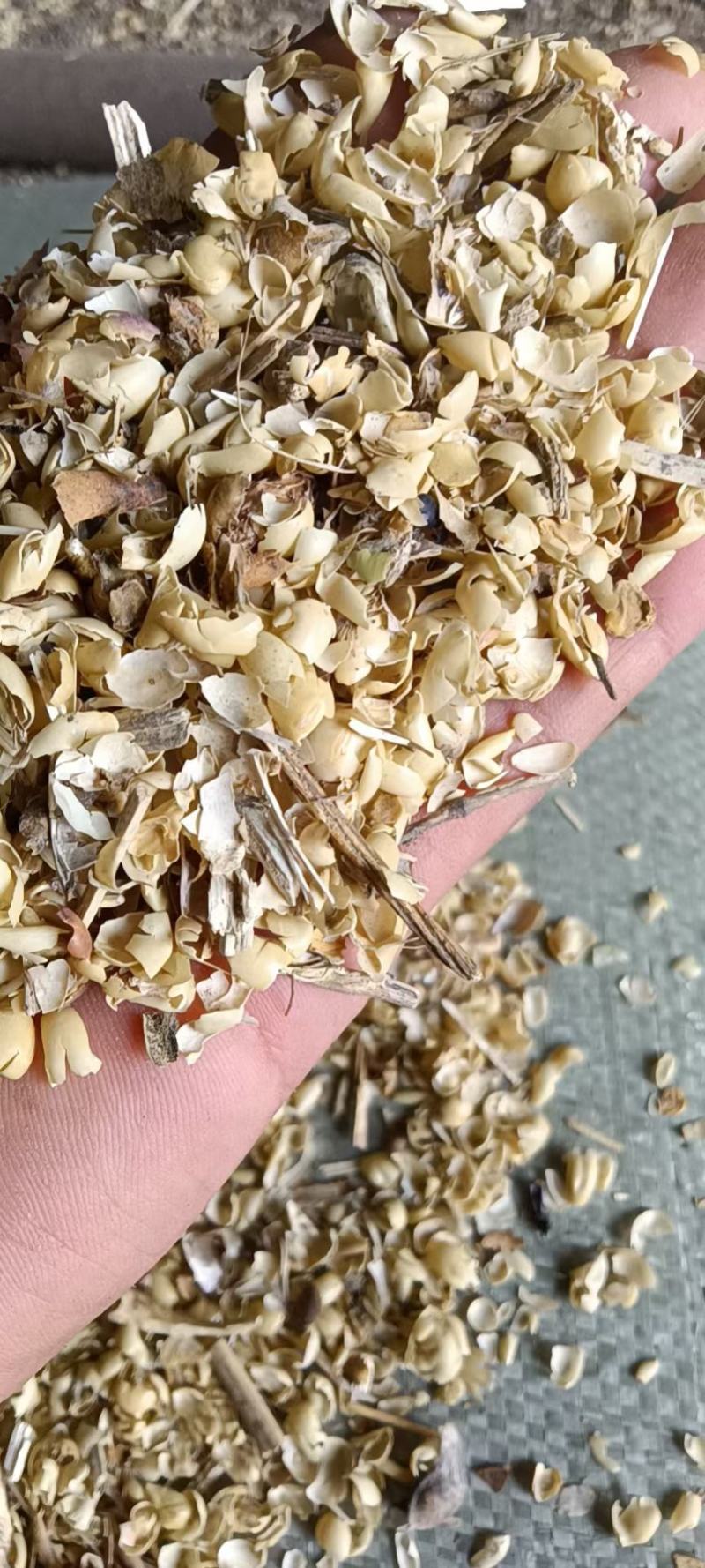 大豆黄壳，混有豆荚皮，黑龙江齐齐哈尔上车