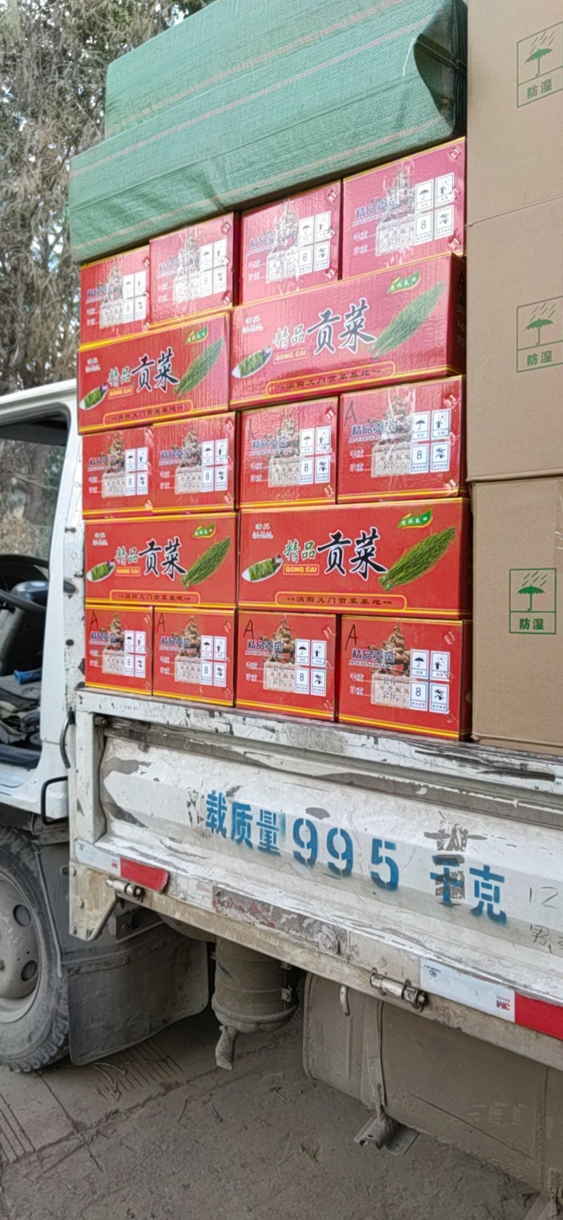 安徽贡菜云南贡菜响菜苔菜一箱10斤