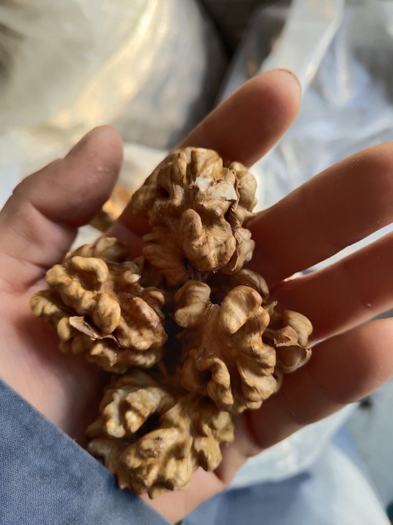 手工剥核桃仁，整个核桃仁