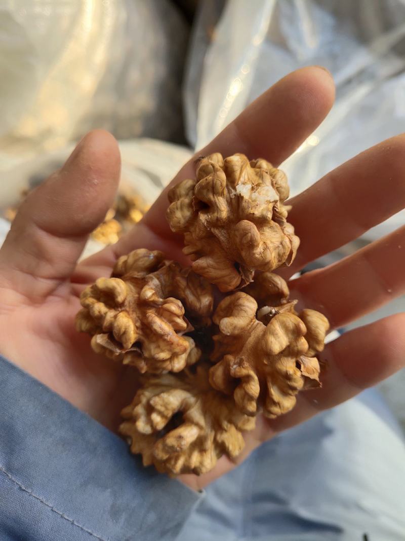 手工剥核桃仁，整个核桃仁