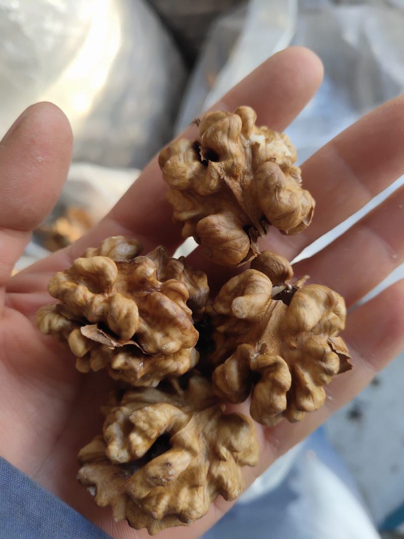 手工剥核桃仁，整个核桃仁