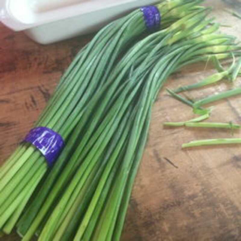 冷库批发精品白苔，红苔蒜苔，市场.超市.电商货，坏烂包赔