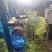冷库批发精品白苔，红苔蒜苔，市场.超市.电商货，坏烂包赔
