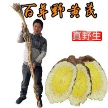 （专注真野生）甘肃岷县原产地直供，野生黄芪片，野生黄芪条