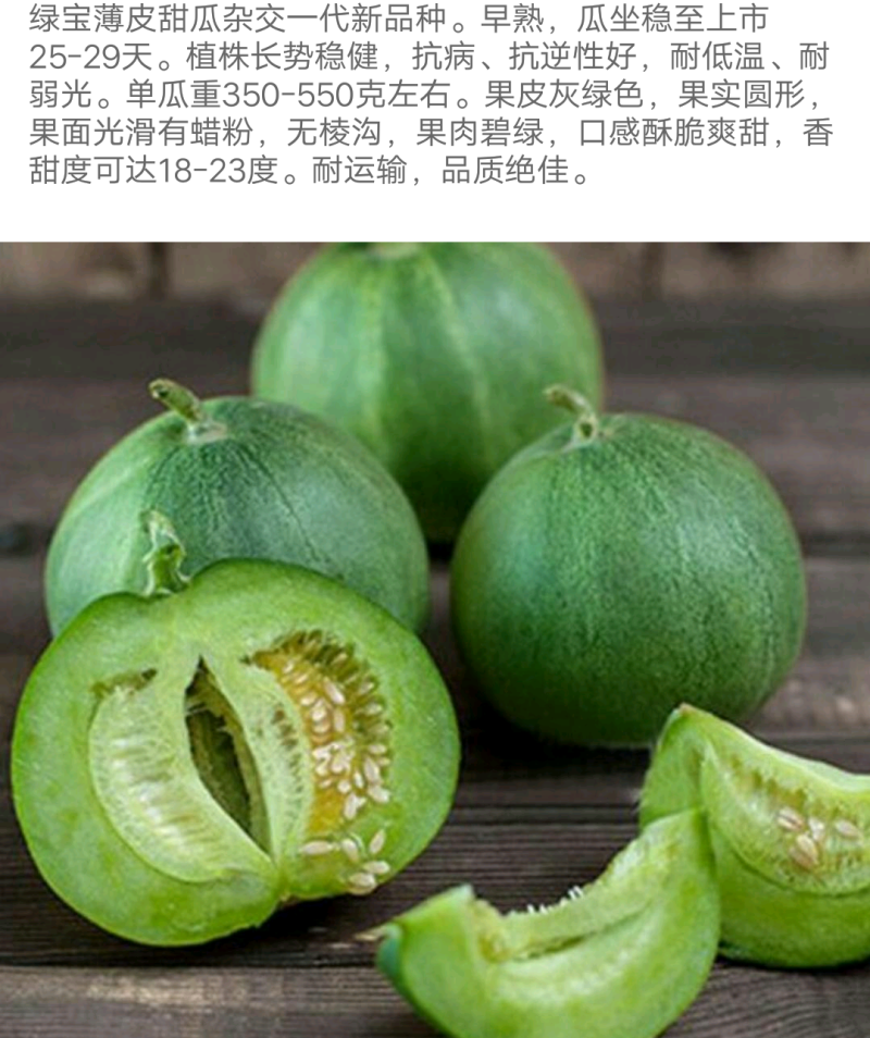 【成活率高】绿宝甜瓜苗甜度高抗病高产全国发货诚信买卖