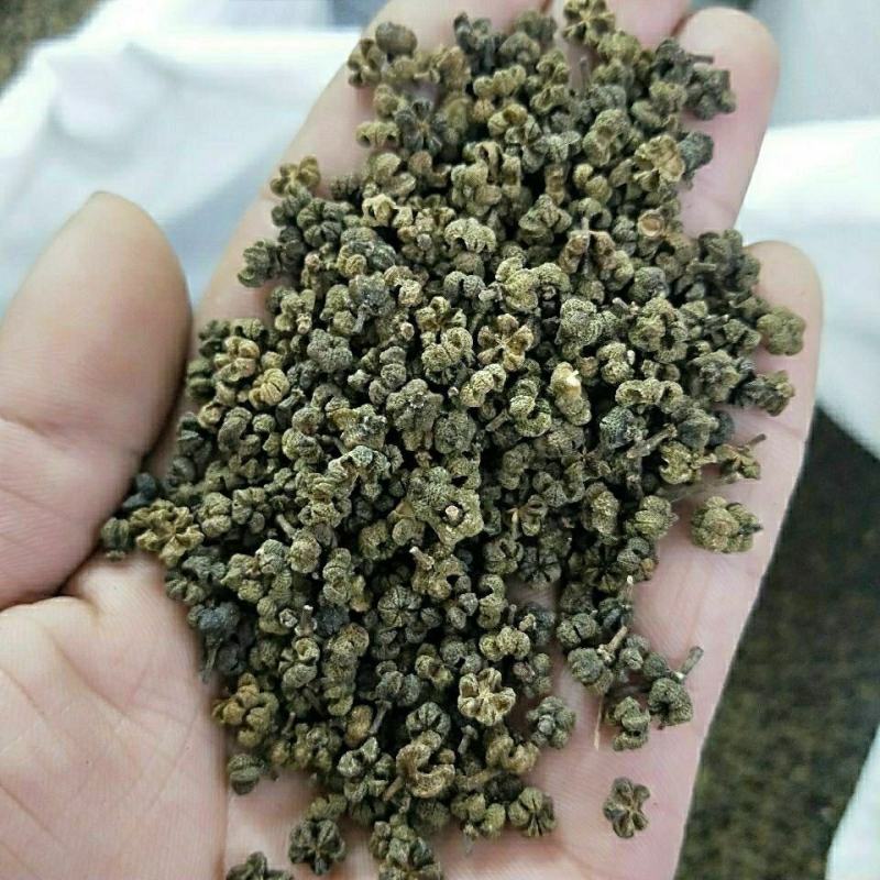 吴茱萸中药材吴茱萸小花吴萸包邮各种中药材