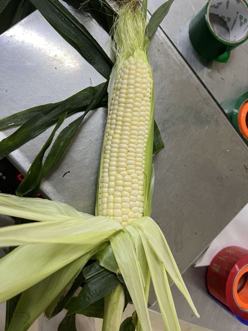 牛奶水果玉米