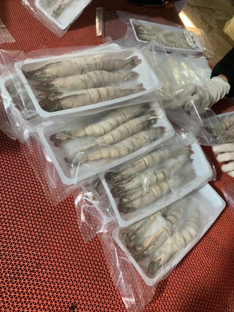 天然花虾，厂家一手货源，刺身，寿司店必点产品