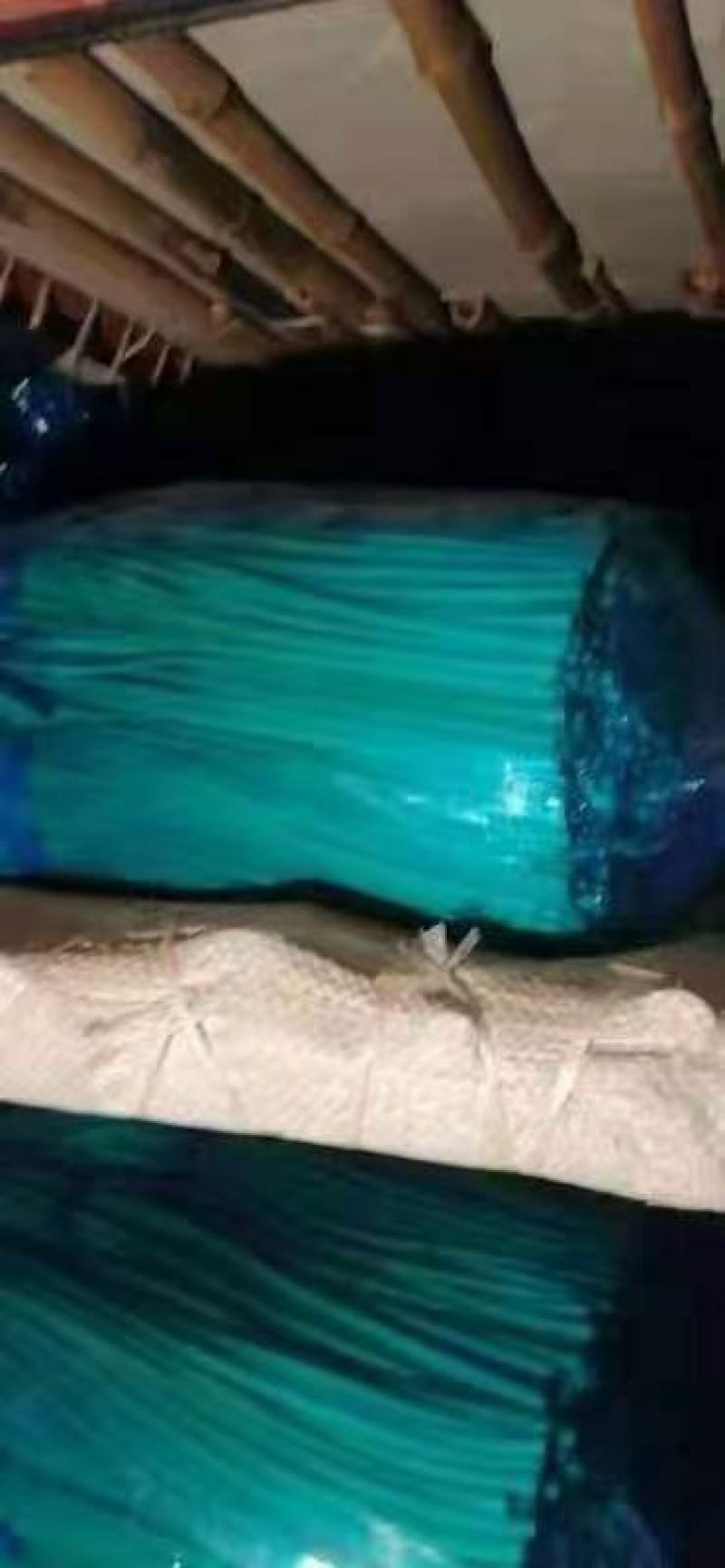 红帽蒜苔，大张蒜苔，大张苔，大张红帽蒜苔，河南蒜苔，蒜苔