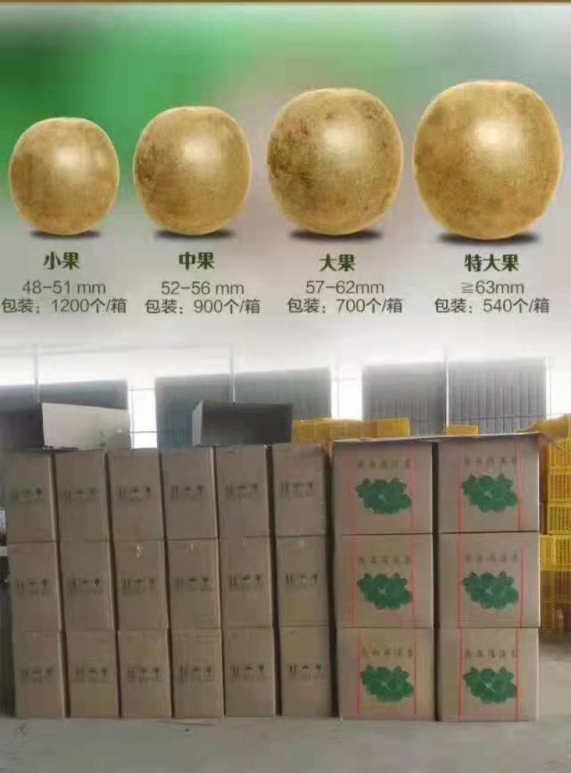 罗汉果桂林原产地批零厂！有机优果+冻干技术，不满意包退！