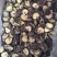 福建椴木香菇2021新货3-4/4-5手工选