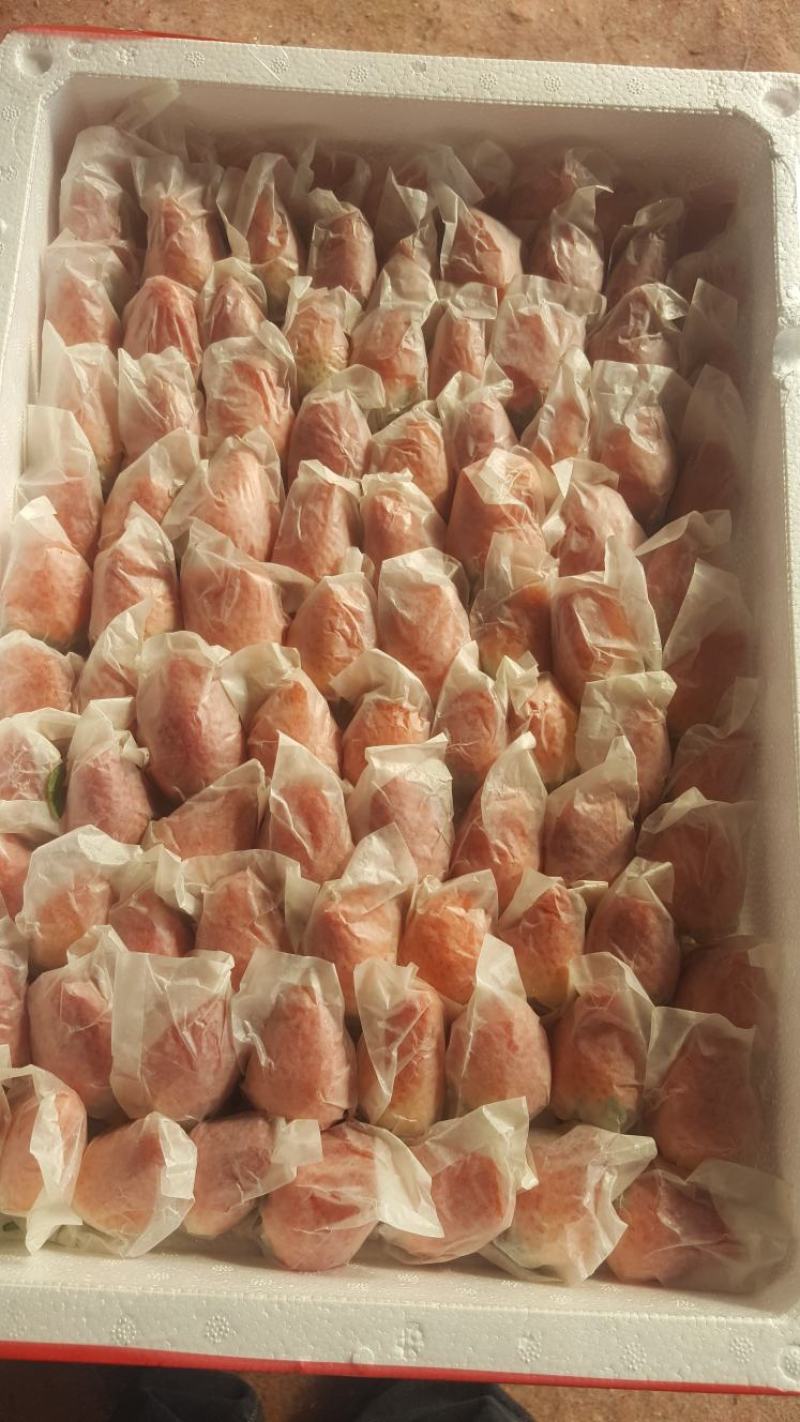 青岛免次洗奶油草莓，老人，小孩，孕妇可以放心食用